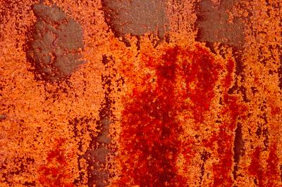 Rost