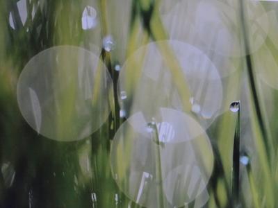 Wassertropfen