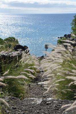 Der Weg zum Meer - La Palma, Spanien