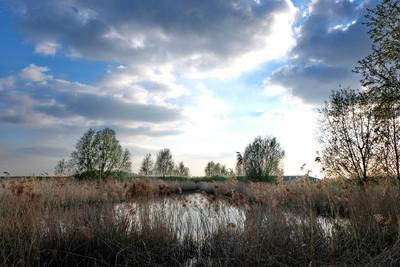 Haldenfrühling - Halde Sundern, Hamm-Pelkum