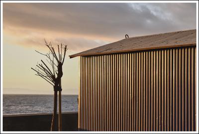 Am Meer # 6