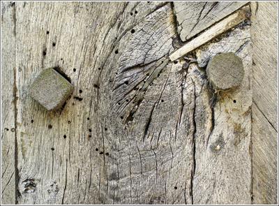 Holz