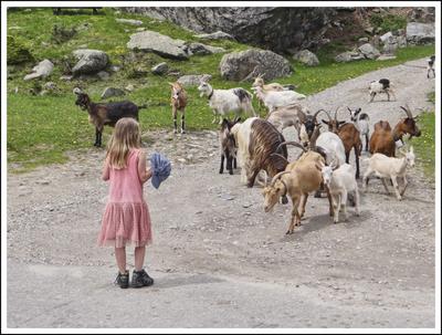 Junge Hirtin im Ultental, Alto Adige