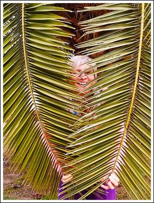 Kerstin in der Palme