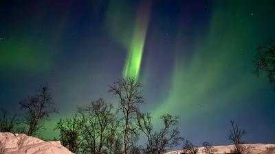 Aurora Borealis